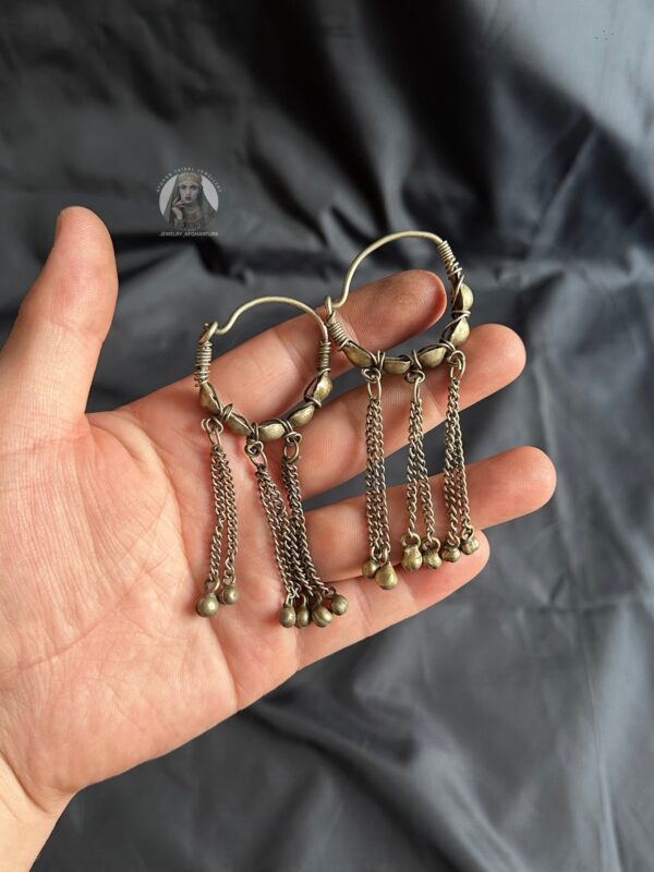 Classic hoops earrings